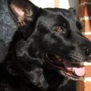 Meet your Posher, Cindy fry